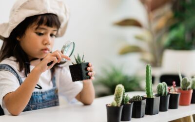 Los invaluables beneficios de la educación Montessori en los primeros años de desarrollo de los niños.